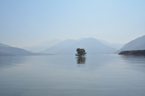 This stunning image captures the breathtaking beauty of a mountain landscape reflected in the calm waters of a serene lake, with a tree standing majestically in the middle. The image is a perfect representation of nature's harmony and balance, with the elements of water, earth, and sky coming together to create a captivating scene. The reflection of the mountains and the tree on the lake's surface adds depth and dimension to the image, making it an ideal image for nature and landscape photography, travel and tourism publications, and outdoor and adventure-related marketing.