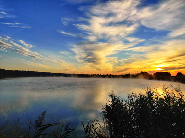 beautiful sunset over the lake with small waves. pine-fir forest along the lake, - pine sunset night sunlight imagens e fotografias de stock