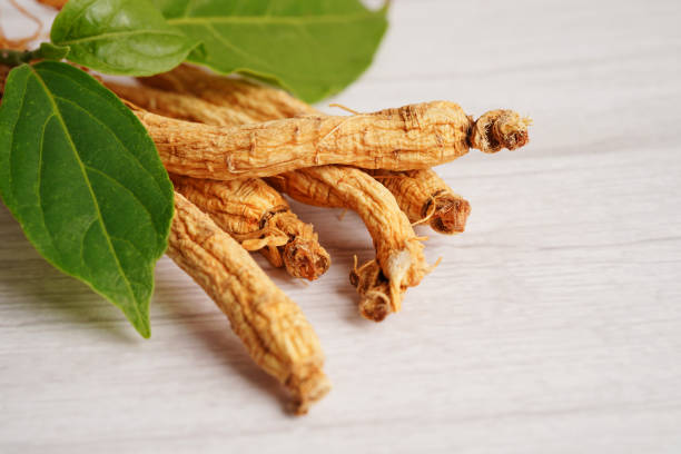 istock Ginseng roots and green leaf, healthy food. 1482360525