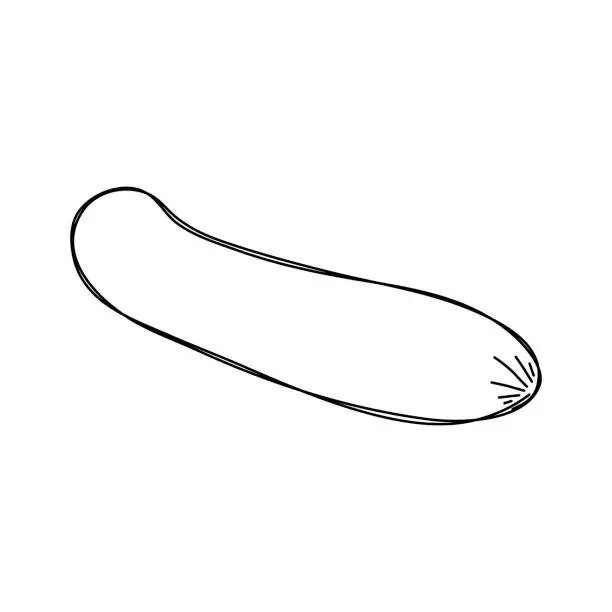 Vector illustration of Freshly grilled, barbequed processed meat sausage. Vector.