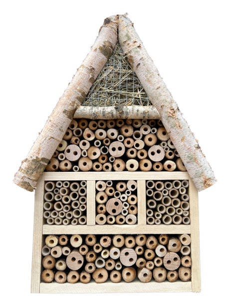 istock Insect hotel, Insect shelter 1482364223