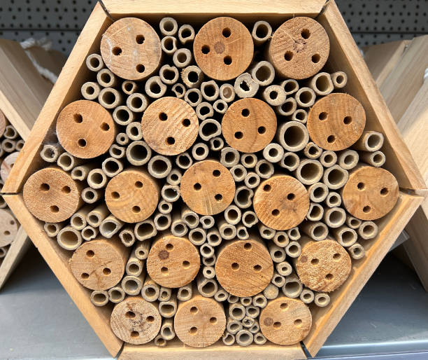 istock Insect hotel, Insect shelter 1482364238