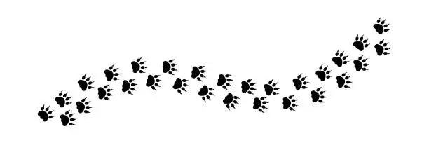 Vector illustration of Lion paws silhouette print. Animal paws diagonal track.