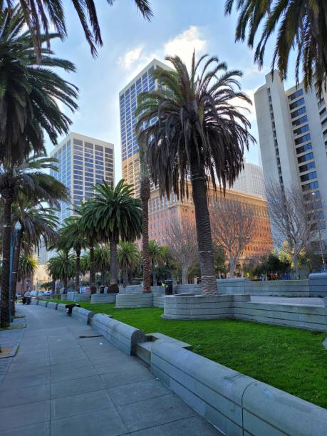 edificios ubicados en el centro de san francisco. - san francisko fotografías e imágenes de stock