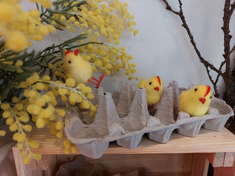 Easter photo with chickens and yellow flowers. Cute holiday background.