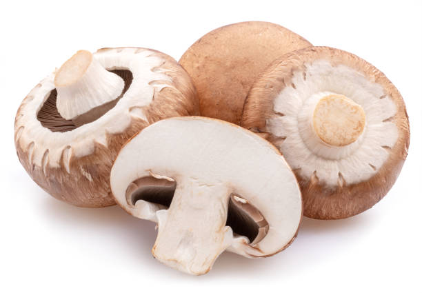 istock Brown cap champignons or agaricus mushrooms isolated on white background. Close-up. 1482370779