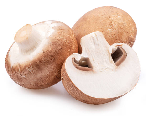 istock Brown cap champignons or agaricus mushrooms isolated on white background. Close-up. 1482370781