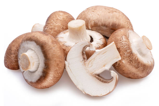 istock Brown cap champignons or agaricus mushrooms isolated on white background. Close-up. 1482370797