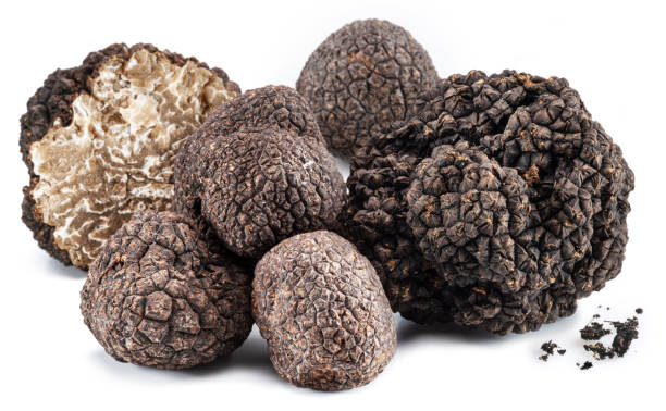 istock Perfect summer truffles isolated on white background. Close-up. 1482370882