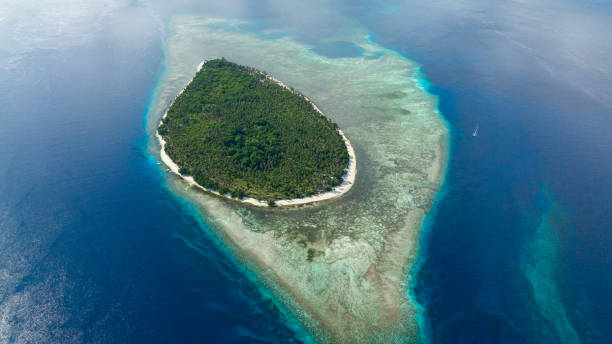 istock Island with beautiful beach. Philippines 1482378245