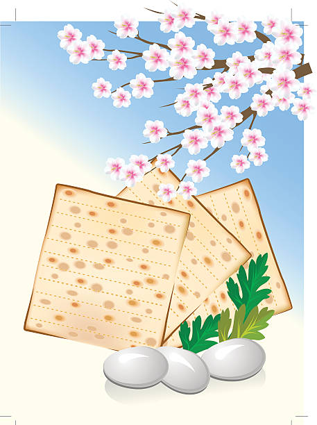 jewish 축하 pesach, 에그스, 마짜 빵 및 꽃 - flower torah matzo spring stock illustrations