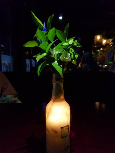 istock Plant and The Bottle 1482378435