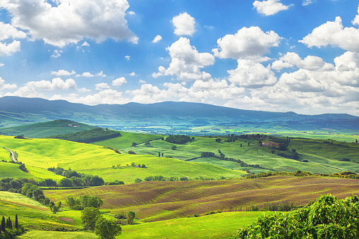 We see the stunning Val d'Orcia in Tuscany, Italy. The image captures a vast expanse of rolling green hills, each adorned with cypress trees in places. The hills are intersected by a patch of ploughed farmland, adding a sense of rustic charm to the scene.\nIn the distance, a range of majestic blue mountains provides a striking contrast to the verdant landscape below. The soft, warm light of daytime illuminates every detail, casting a gentle glow across the hills and valleys. This photograph captures the timeless beauty and tranquility of the Tuscan countryside, offering a glimpse into a world where nature and human intervention have come together in perfect harmony. It is a stunning testament to the natural beauty of Italy and the enduring allure of this iconic region.