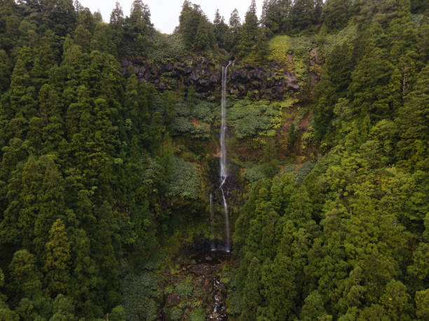Waterfall by drone in Furnas, Sao Miguel, the Azores Waterfall by drone in Furnas, Sao Miguel, the Azores madalena stock pictures, royalty-free photos & images