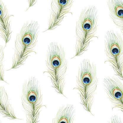 Peacock feather seamless pattern. Watercolour repeating background.