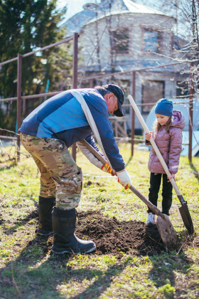 istock Father teaching his daughter how to plant a new tree in spring 1482382400