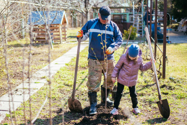 istock Father teaching his daughter how to plant a new tree in spring 1482382538