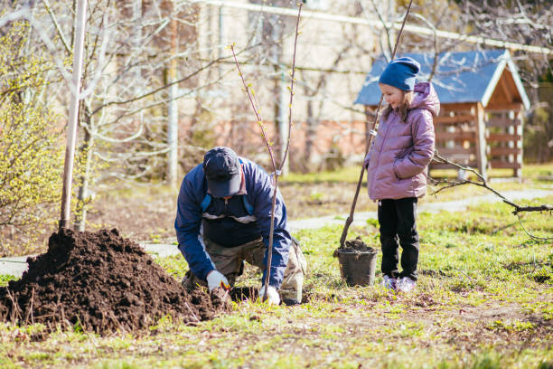 istock A father and his daughter are planting a fruit tree 1482382580