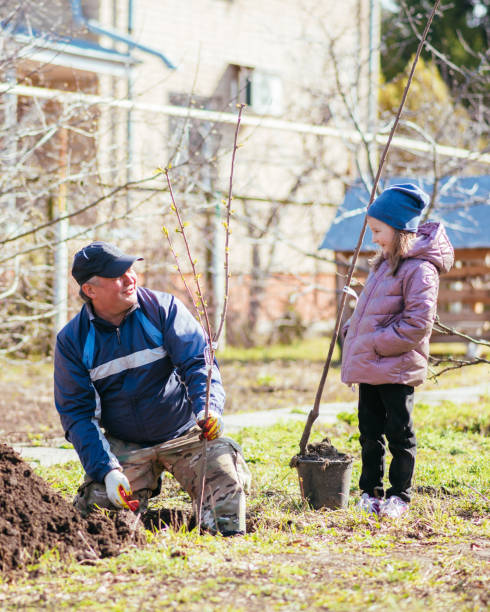 istock A father and his daughter are planting a fruit tree 1482382631