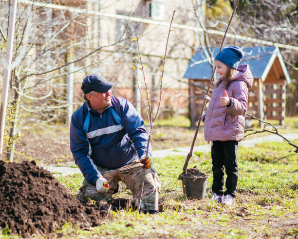 istock Happy father with his daughter planting a fruit tree 1482382649