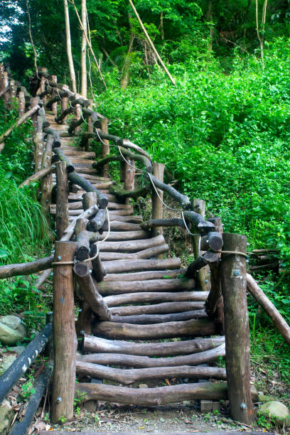 istock Hiking Trail Taichung Taiwan 1482383122