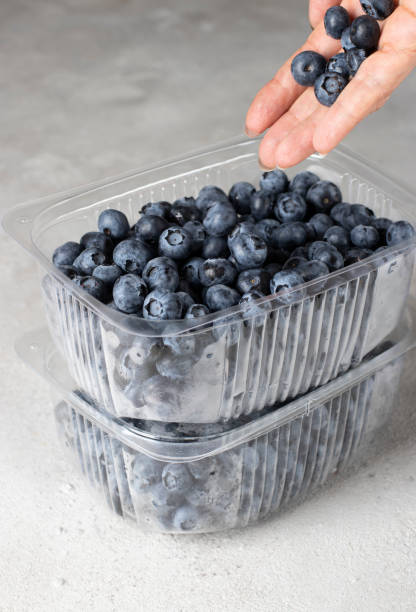 istock Fresh blueberries in two plastic containers on light gray background, woman's hand drops blueberries into container 1482384265