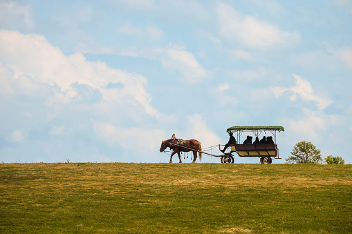 Harnessed horse rides people in a pleasure cart on horizon. Silhouettes of people in the shadow of a covered wagon. Side view.