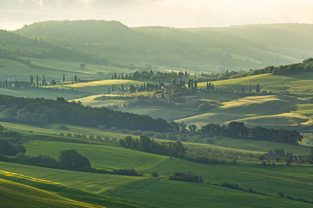 istock Endless hill range in Tuscany in the morning 1482386131