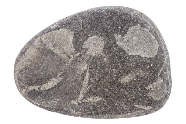 istock Top view of single black pebble 1482386470