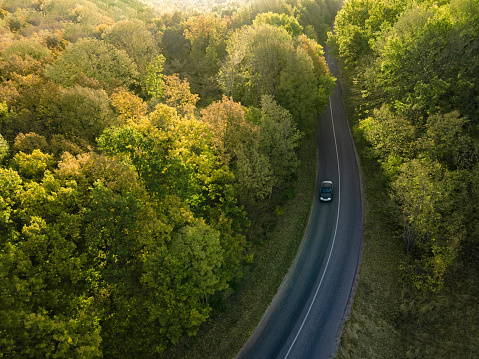 Aerial view on Highway road in the forest. View from a drone. Car in summer time nature from air. Aerial view.