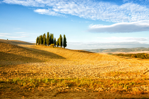 Scenic Tuscany landscape with cypress trees, Val d'Orcia, Italy.