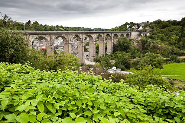 the old bridge at Dinan