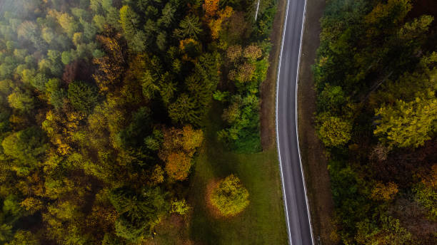 istock Autumn road trip 1482402895