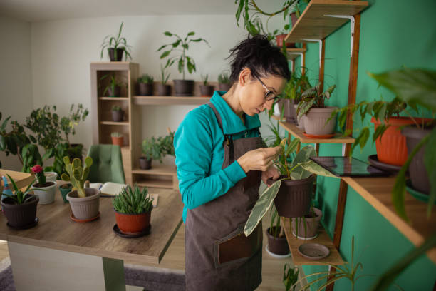istock Checking the soil and the fertilizer for indoor plants 1482404418