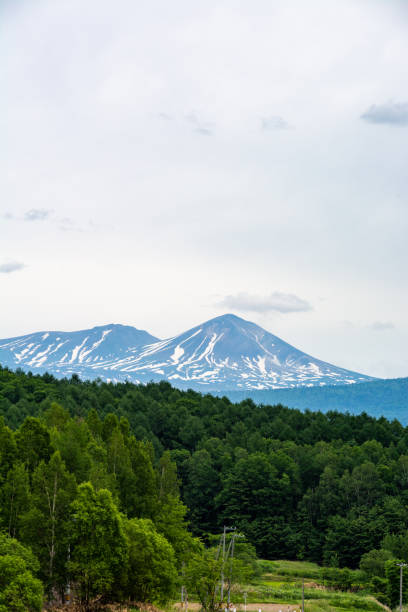 Fresh green forest and mountain range of remaining snow