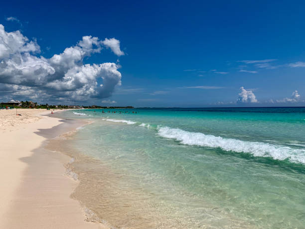 istock Beachfront view of clear turquoise water. 1482410728