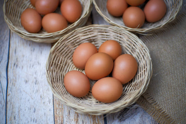 istock Don't put all your eggs in one basket concept. eggs in a rattan basket. 1482411623