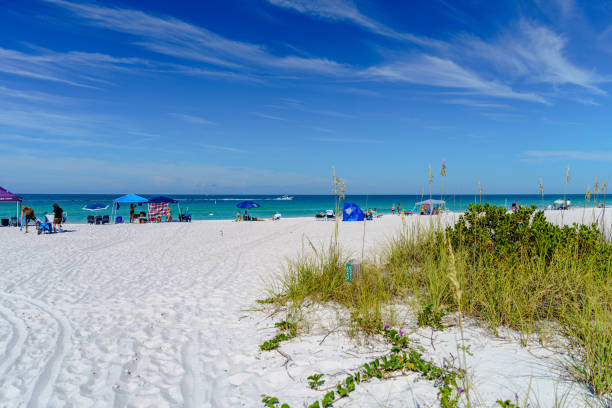 istock Salt Life and Sandy Toes 1482412982