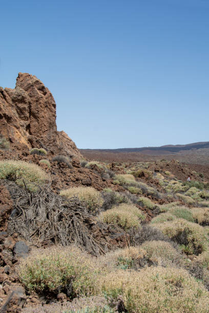 istock Fantastic rock formations in El Teide National Park on Tenerife, Spain 1482414236