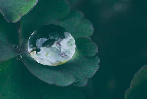 Macro raindrop on leaf, nature background with copy space.
