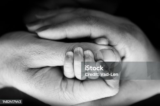 istock Close-up of the small hand of the child and the hand of the mother and father. A newborn baby after birth clings tightly to the finger of its parents. Black and white professional studio macro photo 1482417443
