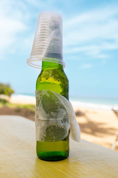 istock Tropical pool with beer at sunset 1482418776