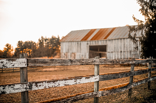 Barn