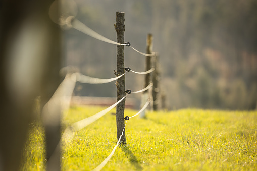 Electric fence around a pasture