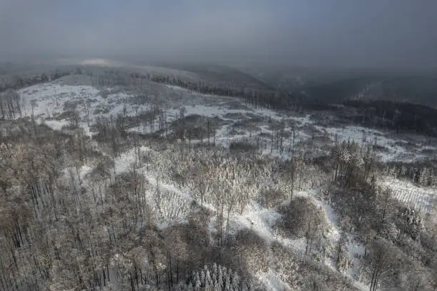 Aerial image of a winter landscape, winter forest trees covered with frost and snow (color toned image)