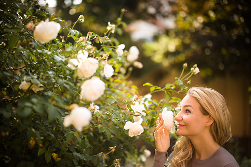 Lifestyle portrait of a young, pretty woman smelling some lovely roses in a garden