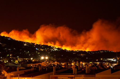 Forest Fire at Night.Wildfire burning forest trees in the mountain.Wildfires caused by humans. Penteli. Greece.