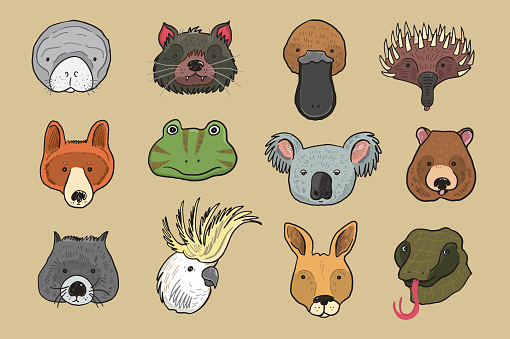 Australian animals faces vector illustrations set.