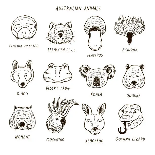 Vector illustration of Australian animals faces vector illustrations set.