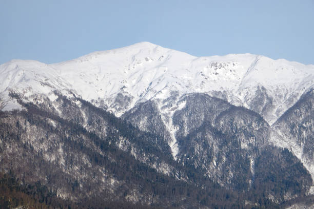 istock Panoramic view of the Caucasus mountain range from Adler, Russia. 1482427517